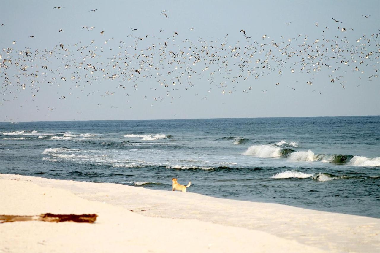 Beach'N'Sea Wohnung 3 Грёмиц Экстерьер фото